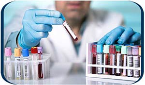 Lab Testing Services Near Me in Bradenton, FL