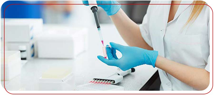 What Do Common Blood Tests Check For? | PrimeHealth Primary Care What Do Common Blood Tests Check For? | PrimeHealth Primary Care