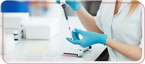 What Do Common Blood Tests Check For? | PrimeHealth Primary Care What Do Common Blood Tests Check For? | PrimeHealth Primary Care