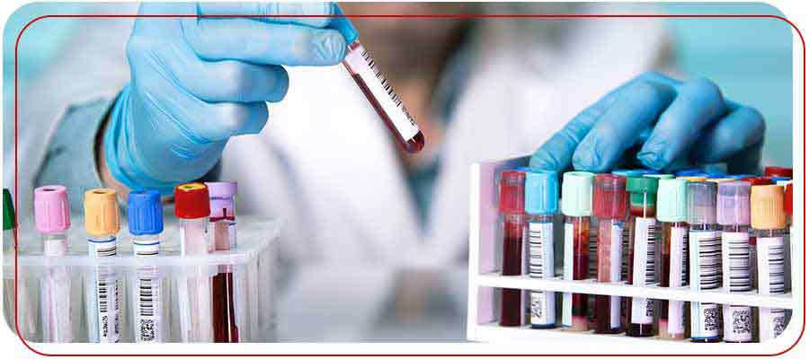 Lab Testing Services Near Me in Bradenton, FL Lab Testing Services Near Me in Bradenton, FL