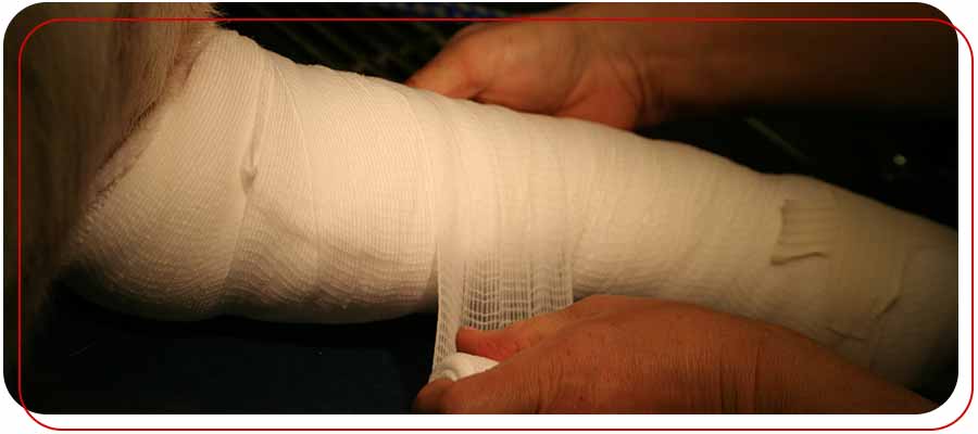 Wound Debridement Clinic Near Me in Bradenton, FL Wound Debridement Clinic Near Me in Bradenton, FL